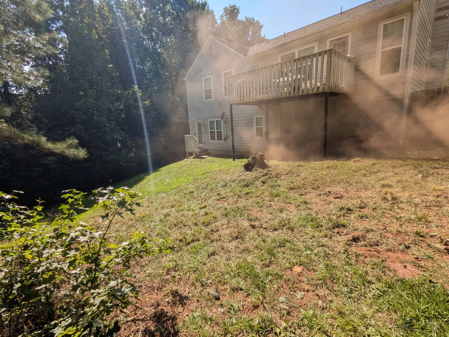 Residential yard after brush and overgrowth clearing