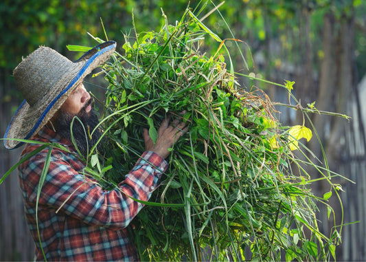 WEED CONTROL