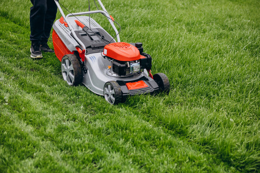 LAWN MOWING & TRIMMING