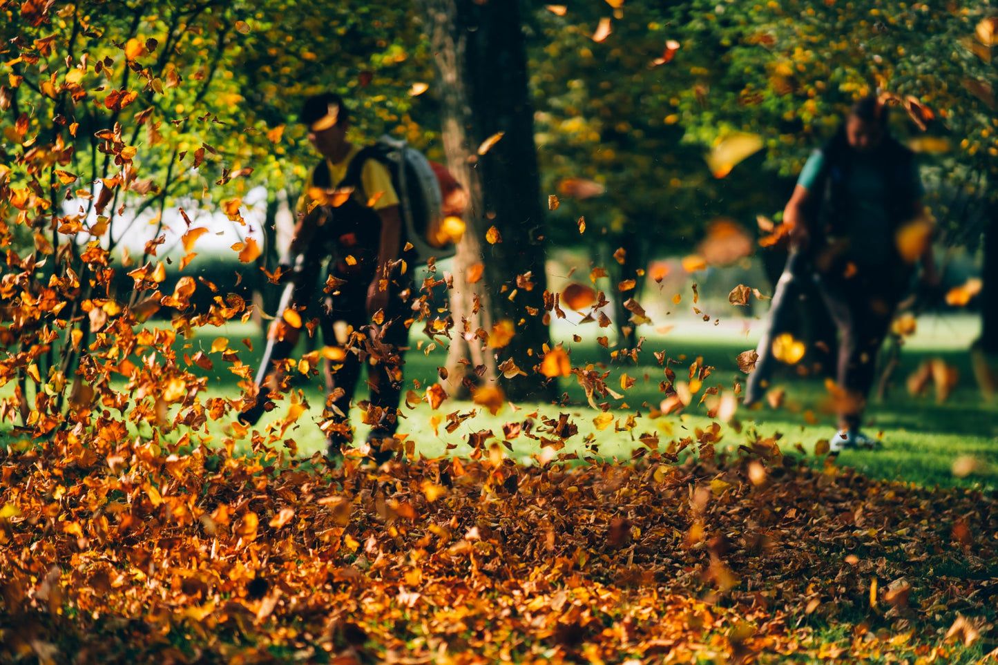 SEASONAL LEAF CLEAN UP