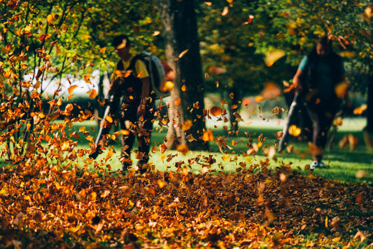 SEASONAL LEAF CLEAN UP