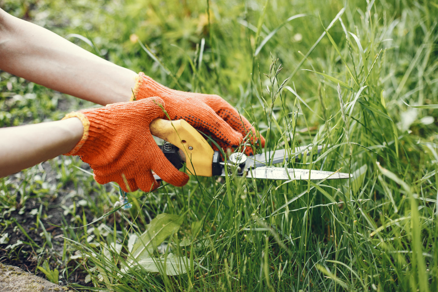 WEED CONTROL