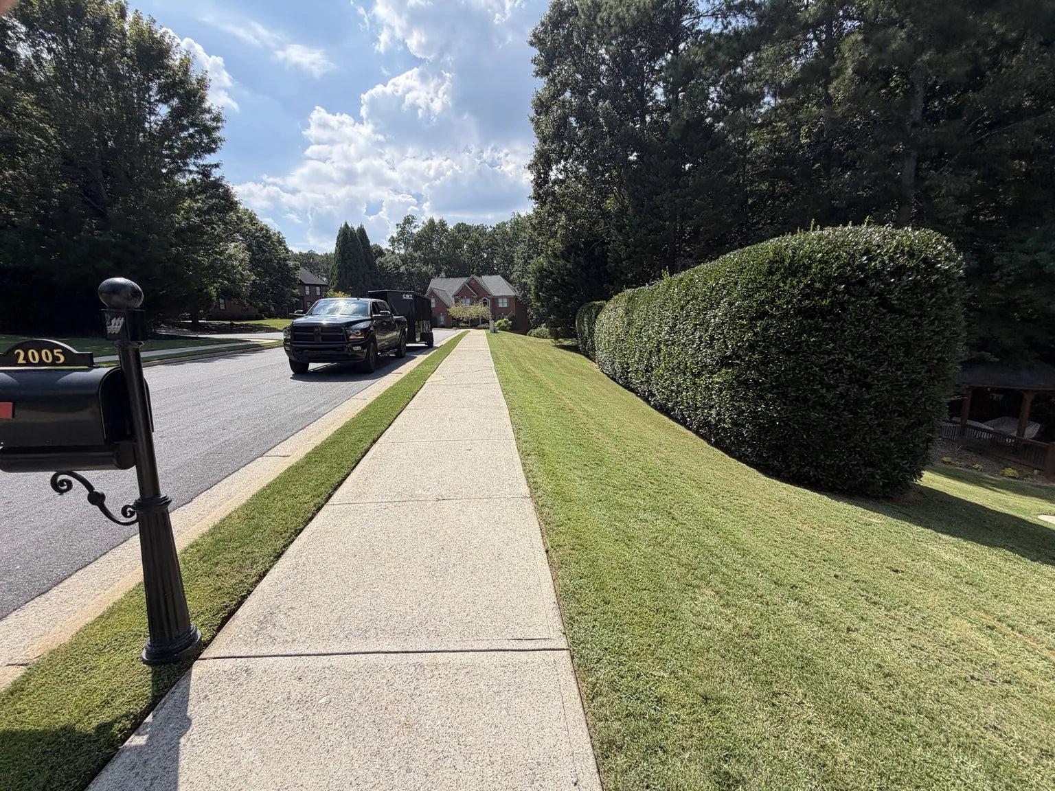 Precision lawn & hedge care